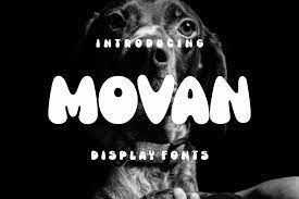 Пример шрифта Movan